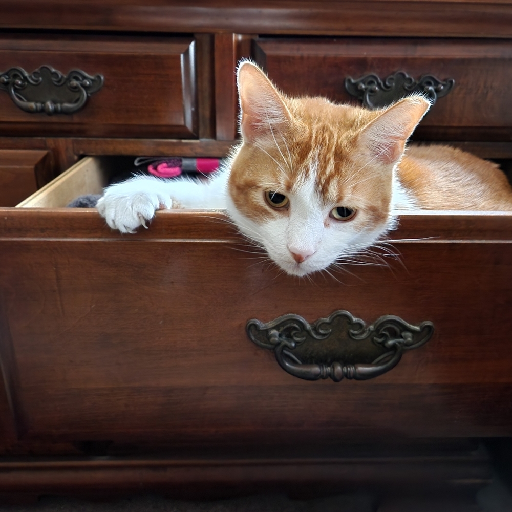 Hello! 💜💙💚 - Picture 5 of 16